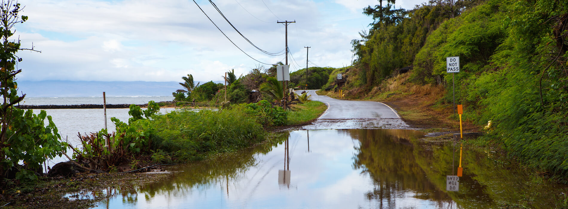 When Disaster Strikes