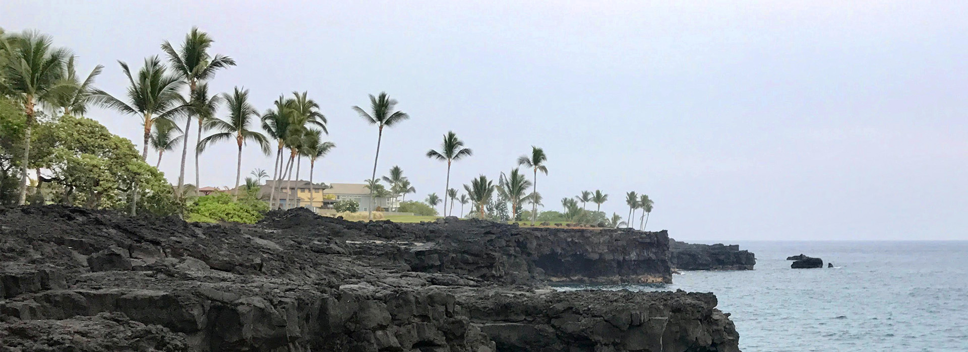 Keauhou landscape