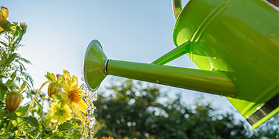 HPUC Sets New Rates for Hawaii Water’s Waikoloa Systems