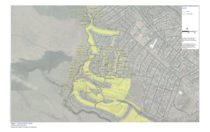 Map of approximate areas where access through private property will be needed to complete the field survey (highlighted in yellow)